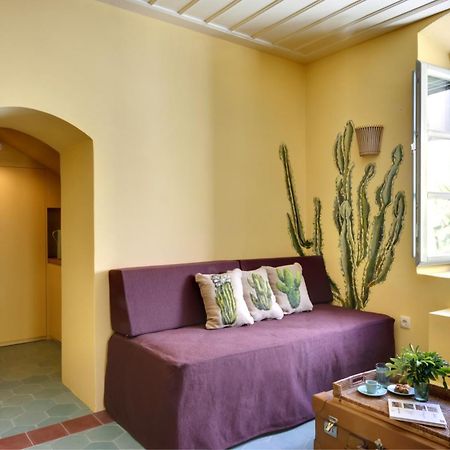 Cactus Hydra - Art Apartments Rum bild