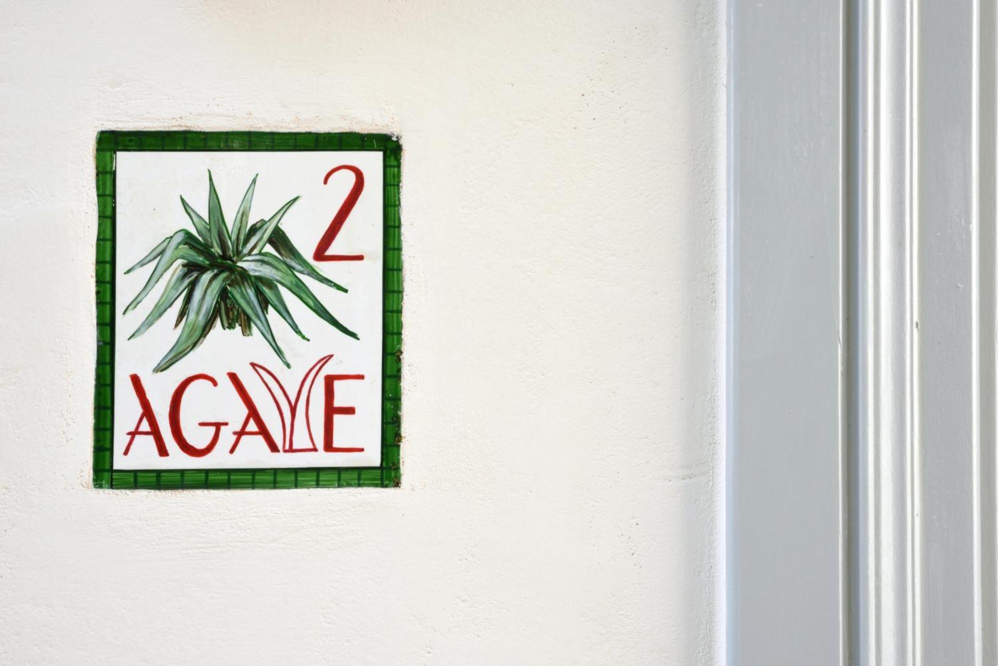 Cactus Hydra - Art Apartments Rum bild