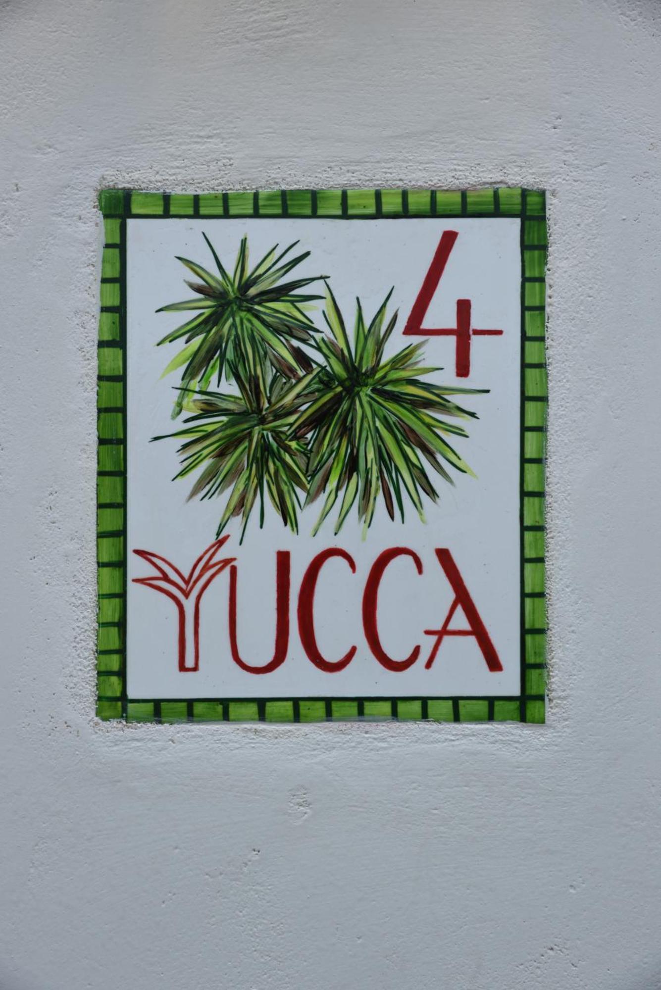 Cactus Hydra - Art Apartments Rum bild